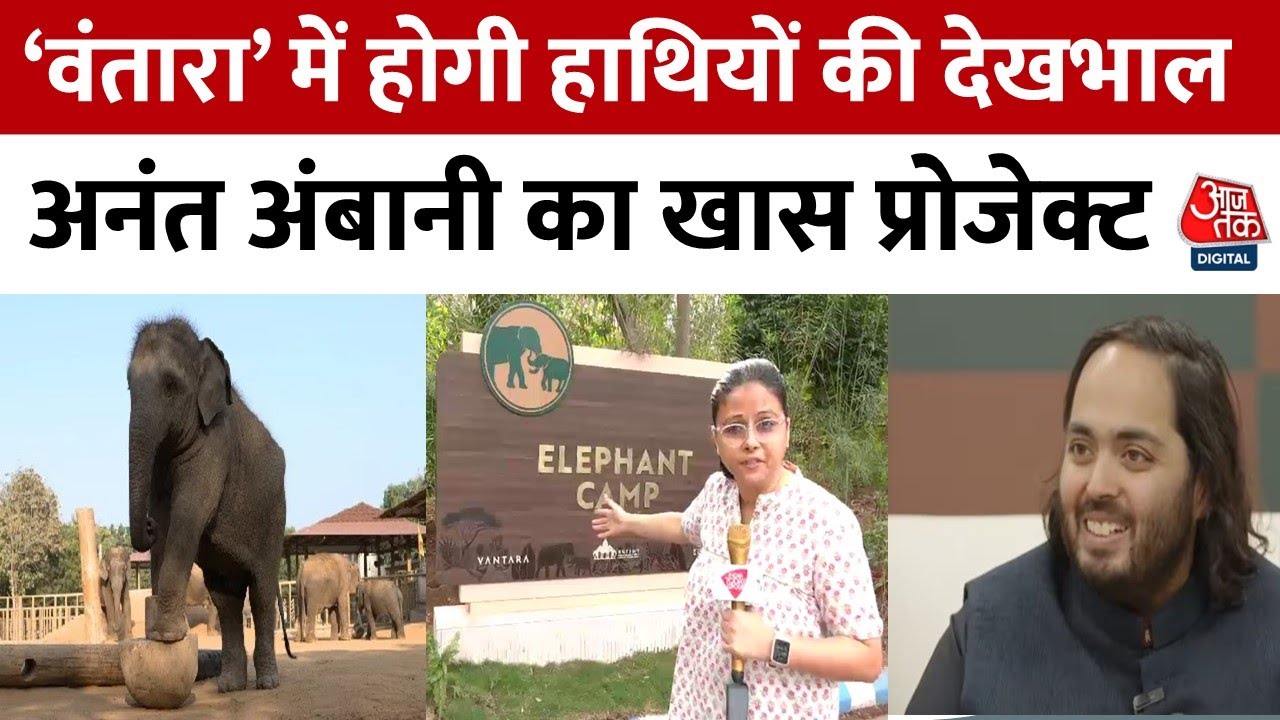 VANTARA: यहां रखा जाएगा हाथियों का ख्याल, Anant Ambani ने शुरू किया प्रोजेक्ट, जानिए क्या है स्पेशल