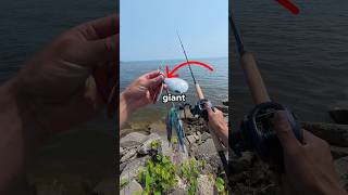 Fishing For Musky With My Most Expensive Lure