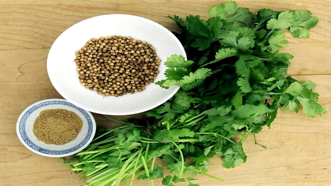 para que sirve el cilantro semilla de cilantro usos culinarios YouTube
