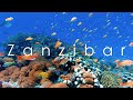 Zanzibar road trip  voyage  zanzibar  4k