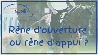 Rêne Douverture Ou Rêne Dappui