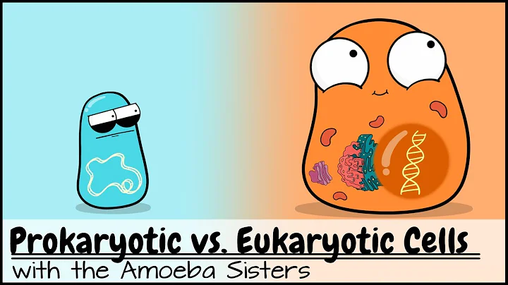 Prokaryotic vs. Eukaryotic Cells (Updated) - DayDayNews