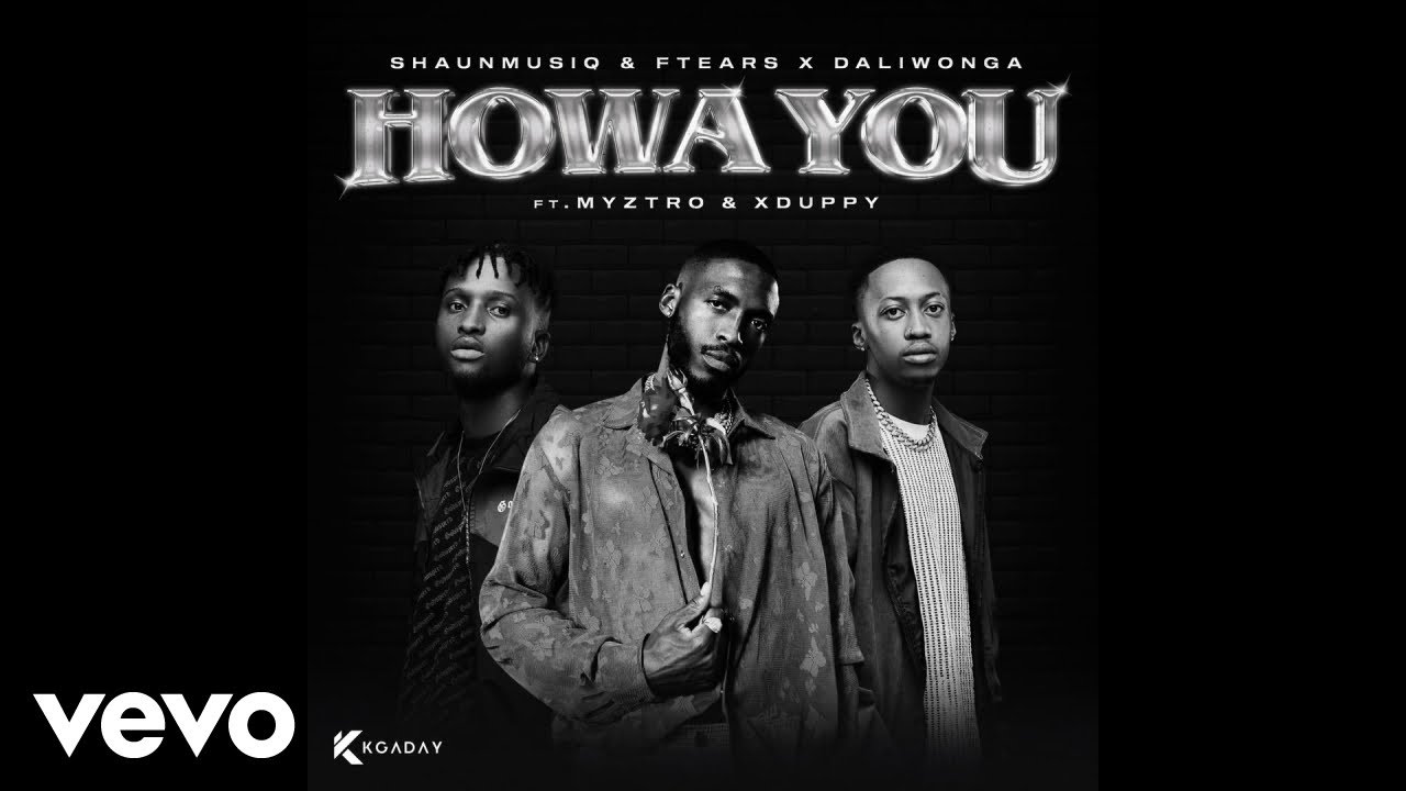 Shaunmusiq  Ftears x Daliwonga   Howa You Official Audio