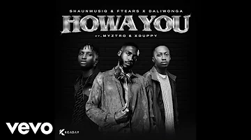 Shaunmusiq & Ftears x Daliwonga - Howa You (Official Audio)