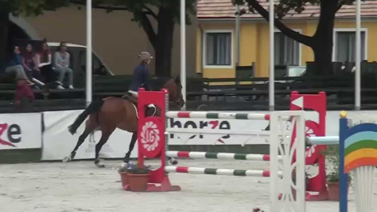 Heibl Ágnes & Balerina, Bábolna, Országos Bajnokság