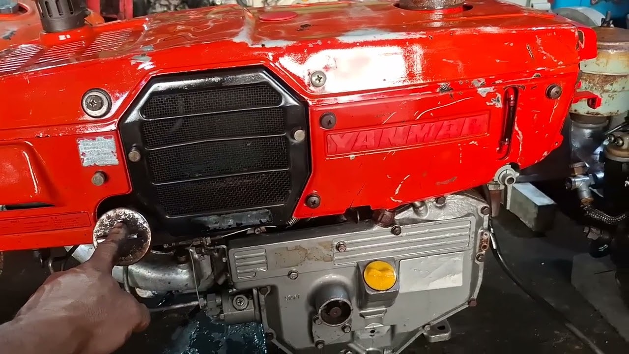 26/1 . Lên hàng cuôi ngày . Ae cân lh 0985927776 zalo .₫/c 12 nguyễn đình chiễu p4 tp soc trăng 