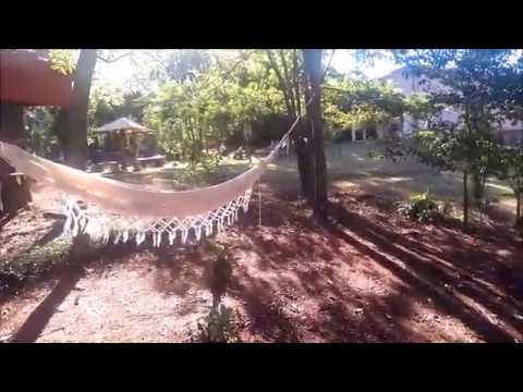 Meu jardim aqui de casa - My garden - Мой сад - Mi jardín