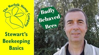 How to deal with Badly Behaved Bees - #Beekeeping Basics - The Norfolk Honey Co.