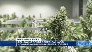 Following court order, Alabama cannabis commission pauses business licenses