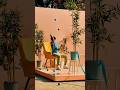 Jorge Lix | cream 📹 by Ashleigh Georgiou 📍Trengo festival