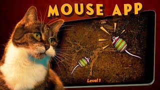 One Cat One Toy One Minute Review: MOUSE FOR CATS app on iPad screenshot 2