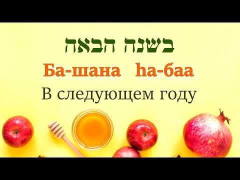 Видео: Нетна стойност на Шана Райли: Wiki, женен, семейство, сватба, заплата, братя и сестри