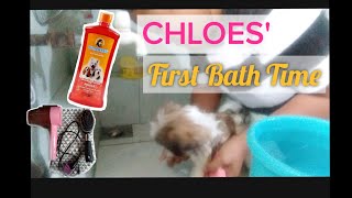 CHLOES' FIRST BATH TIME