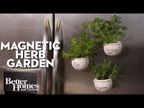 Video: What Is A Magnetic Herb Garden – Hemmagjorda trädgårdsidéer för kylskåp