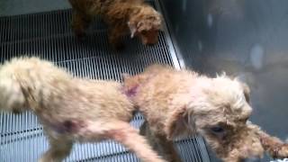 VID 20150924 131254