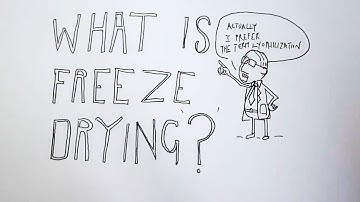 What is Freeze Drying?