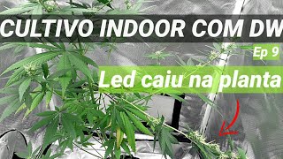 Estufa CULTIVO INDOOR Nova! CUPOM10%OFF GROW POWER INDOOR CANNABIS MACONHA KIT ESTUFA