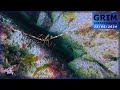 Chasse sousmarine ctes darmor 22  de grosses araignes dans une eau exceptionnellement limpide