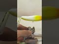 Painting a Wooden Pencil bait with yellow, orange, green, blue and olive green.  #shorts