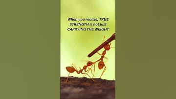 Strength in Unity: When Helping Others Rise #motivation #ants #ytShorts