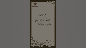 القارئ محمد أمين واضح | يَا أَيُّهَا الَّذِينَ آمَنُوا اتَّقُوا اللَّهَ وَقُولُوا قَوْلاً سَدِيداً