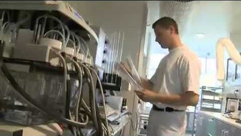 Denmark education system