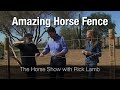 Amazing Horse Fence