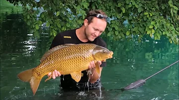 Kde jsou monarchie v Evropě?