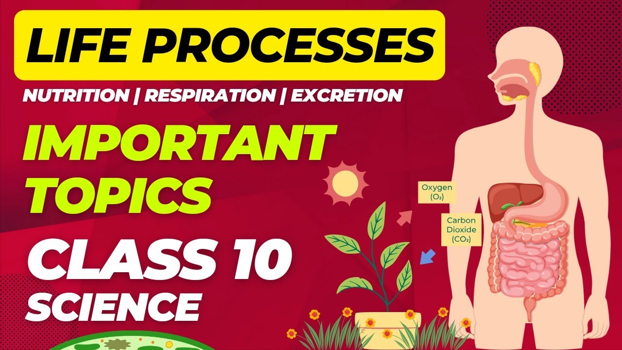 Life Processes FULL CHAPTER in 10 minutes🔥| Important Questions | Class ...