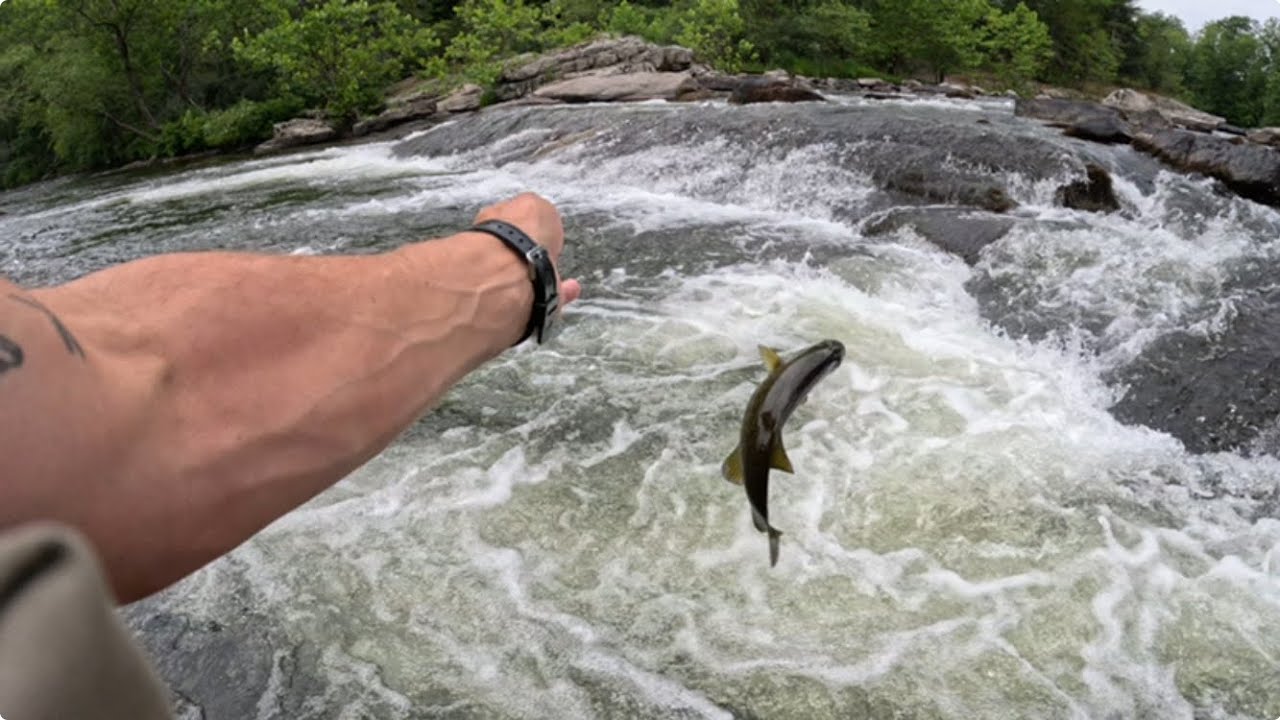 Absolutely Amazing Day of Fishing #bassfishing #fishing #smallmouthbassfishing