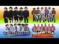 CONJUNTO PRIMAVERA, INTOCABLE, PESADO Y PALOMO EXITAZOS ROMANTICOS