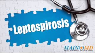 Leptospirosis ¦ Treatment and Symptoms