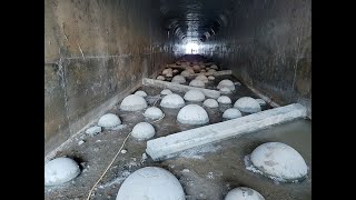 Canyon Creek Fish Passage Wright Water Engineers