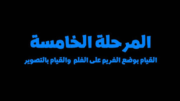 التسمية والترقيم مراحل العمل