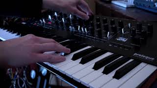 Focus (Korg Prologue)