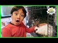 New video by Ryan's World on YouTube