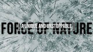 A unique and unstoppable force of nature.... Black Snow Models