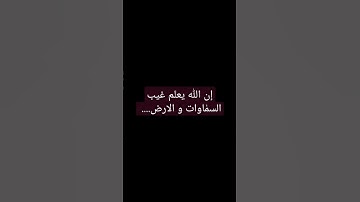 اواخر سورة الحجرات (١)