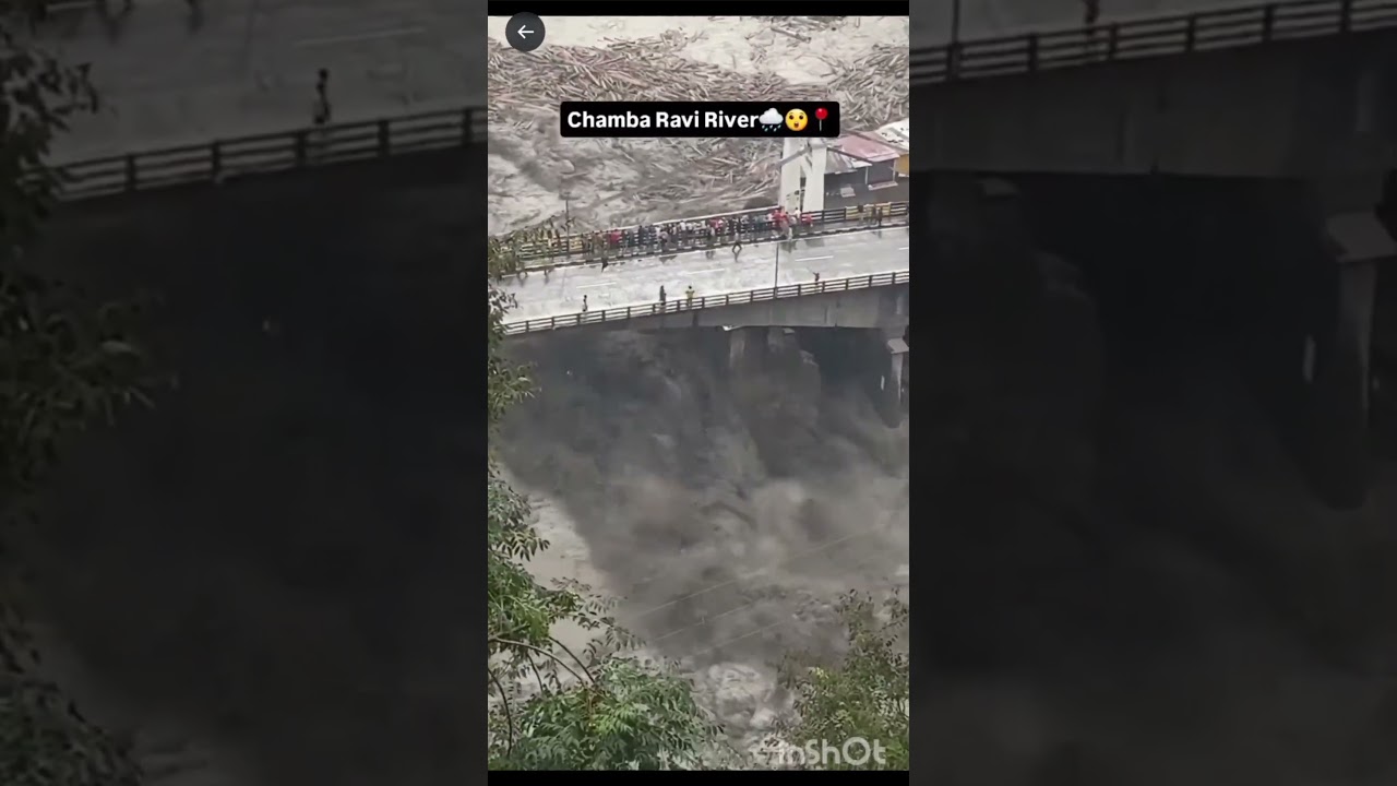 Exposed wood mafia in uttarakhand 