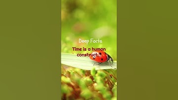 Plumbing the Depths: Exploring Deep Facts About Life and Existence