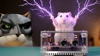 EXPERIMENTS WITH ELECTRICITY THAT YOU MUST NOT TRY AT HOME