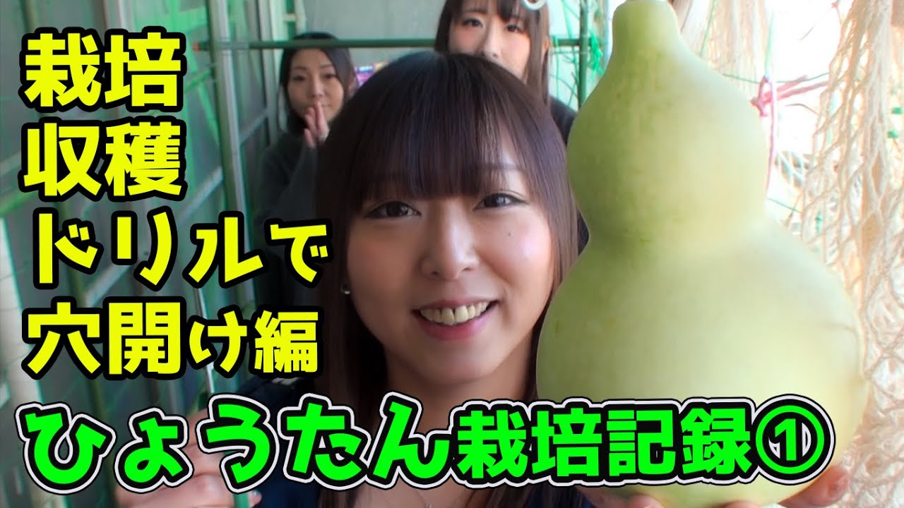 ひょうたん栽培記録①ベランダで鉢植え栽培＆水耕栽培 - YouTube