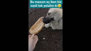 Nasilda Acikmiş Yavrum