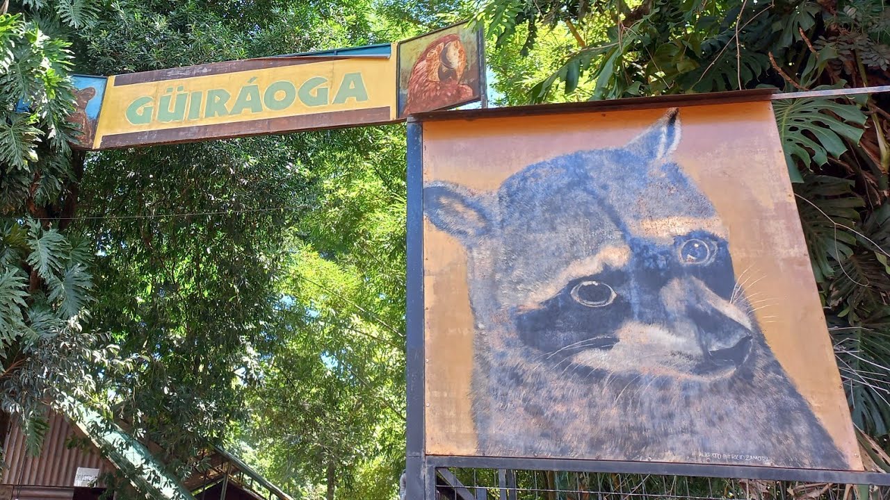 Conociendo el Güira Oga CATARATAS DEL IGUAZÚ YouTube