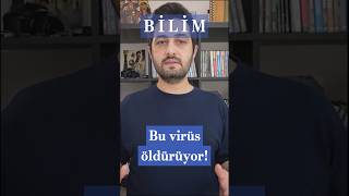 Ölümcül Bir Virüs Daha Oropouche Virüsü Tembellik Ateşi
