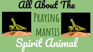 ☯️🌙 THE PRAYING MANTIS SPIRIT🌙☯️ The Praying Mantis as your Spirit Animal & its Symbolism 🌟 WWW.YOUT