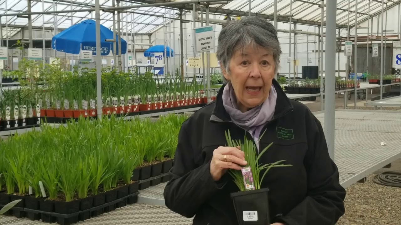 What's Happening at Your Local Garden Centre with Kath Smyth