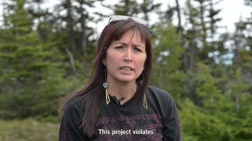 Write for Rights 2024: Wet’suwet’en Nation Land Defenders (Canada)