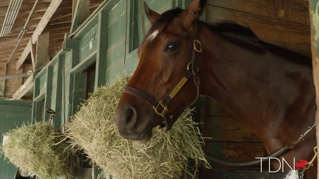 Romans as Confident as Ever in Dennis' Moment