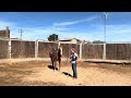 Drill and principles